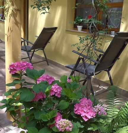 Oazis Apartman Eger Exterior photo